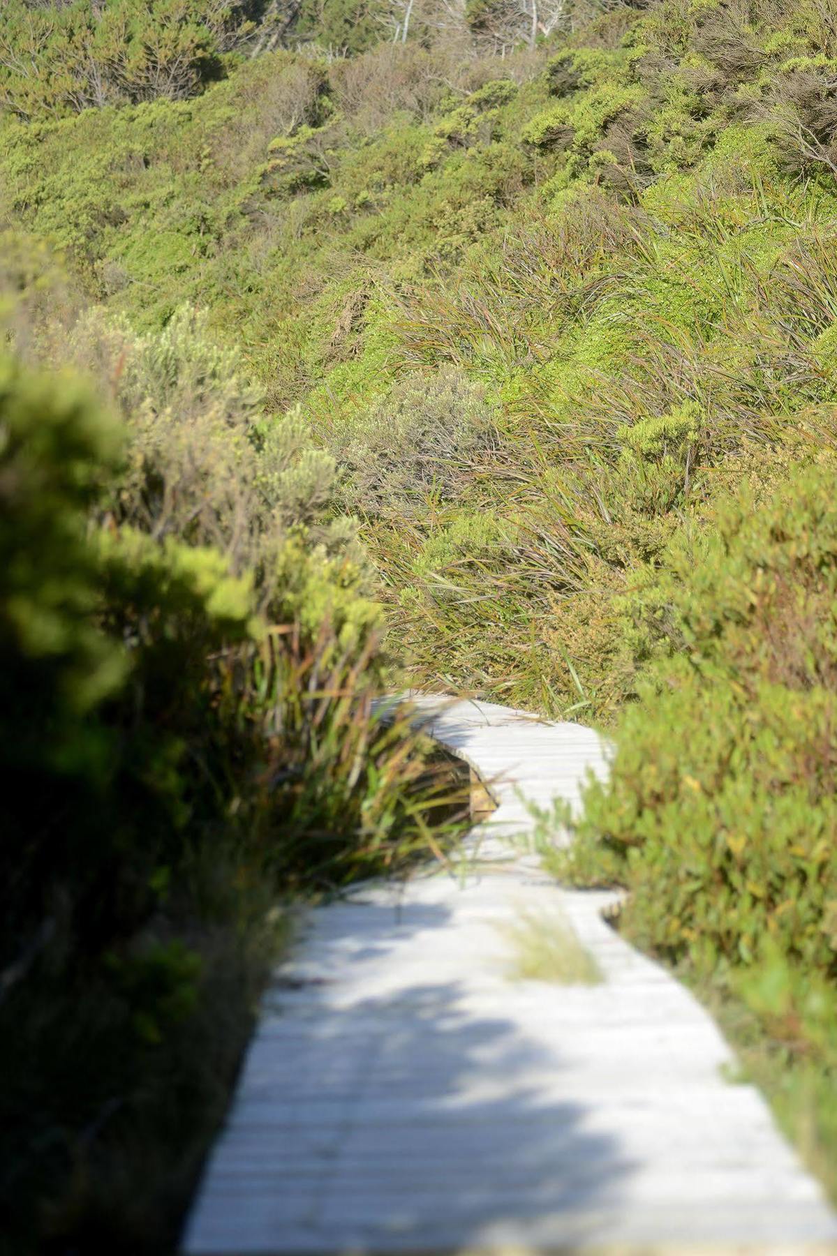 Cloudy Bay Beach House South Bruny エクステリア 写真